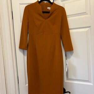 Calvin Klein Rust Orange Dress